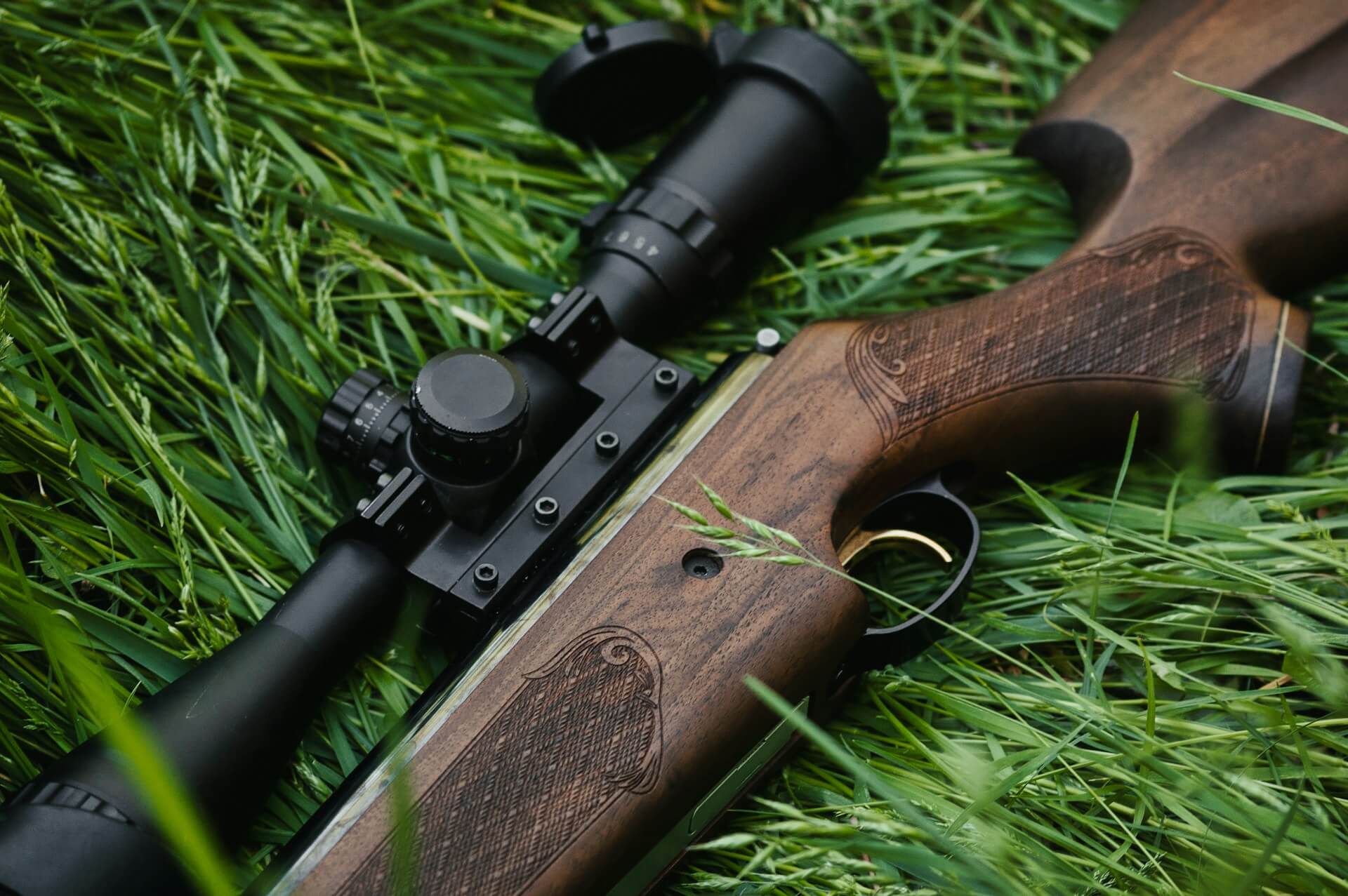 Hunting firearms – the difference between shotguns, rifles and drillings