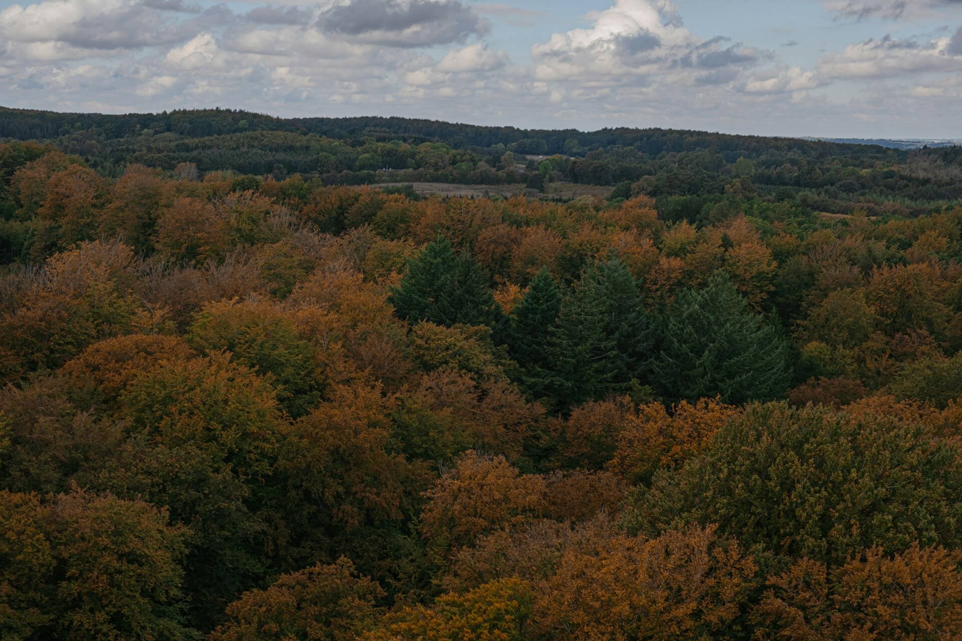 Hunting agents and booking services – how experienced and new hunters find hunting opportunities