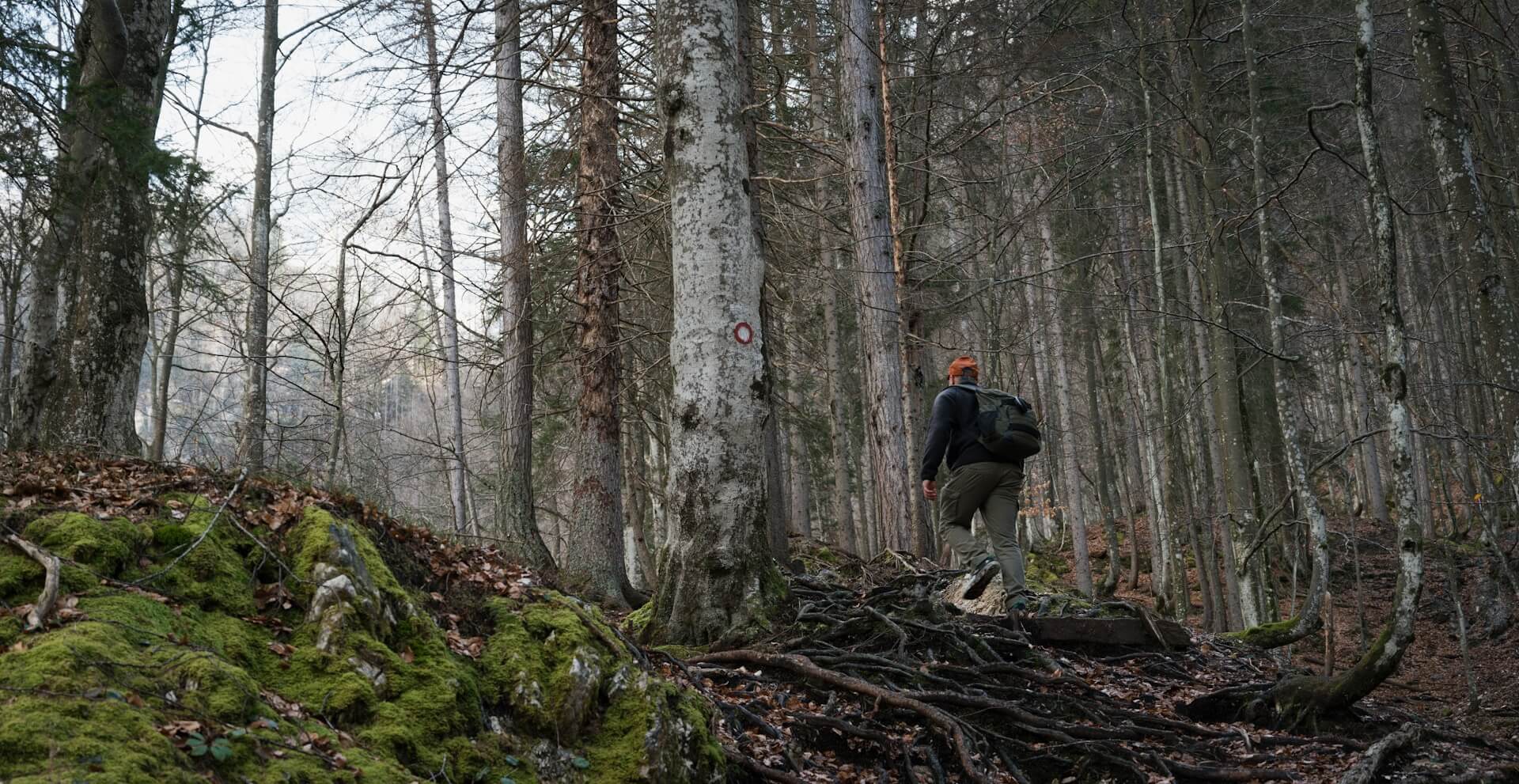 Shooting sticks for hunting – how to choose the best support