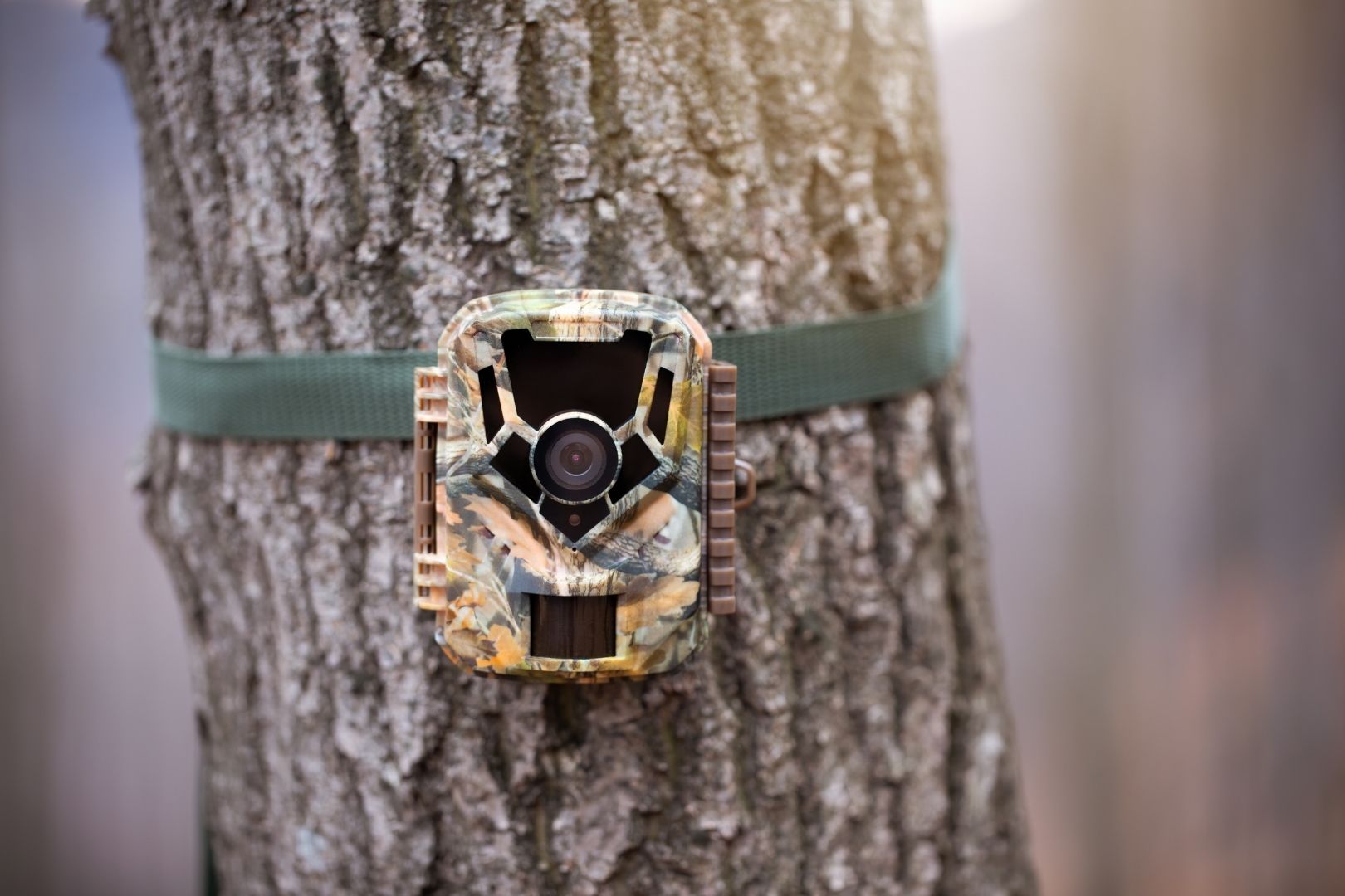 Trail Camera Guide 2026: How to Choose the Best Trail Camera for Hunting