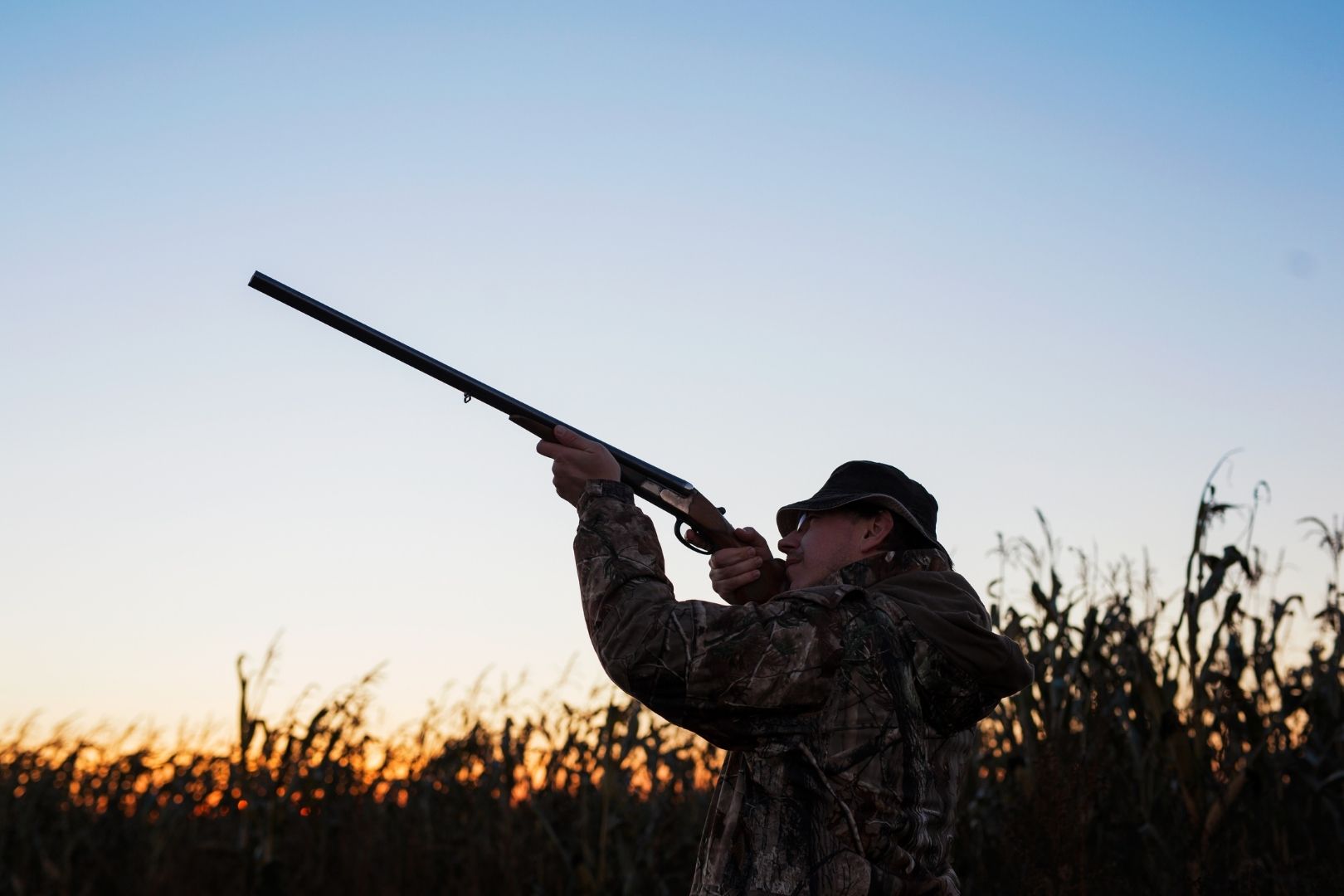 Shotgun Hunting in Denmark: A Guide to Hunting Methods, Shot Sizes and Safe Shooting