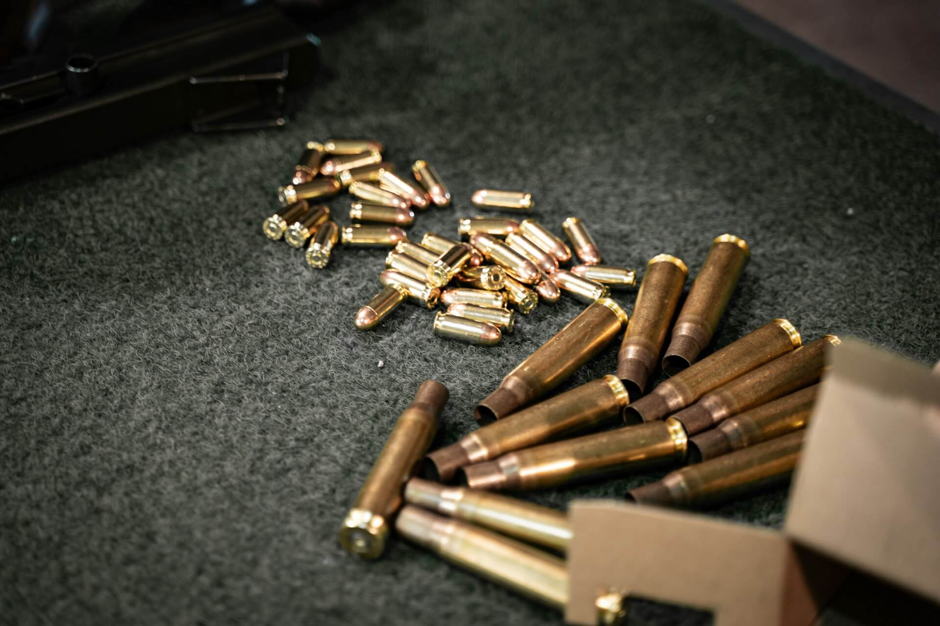Rifle ammunition for hunting – a guide to bullet weight, energy, lead-free ammunition and cartridge selection